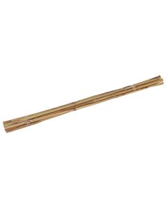 Bamboestok 60cm (10 stuks)
