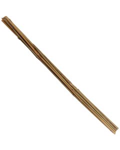 Bamboestok 60cm (10 stuks)