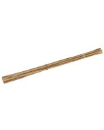 Bamboestok 60cm (10 stuks)